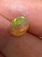 Опал природний благородний 1.02 ct., фото 8