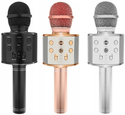 Мікрофон Wster WS 858 портативний караоке з динаміком, фото 1