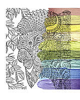 Картина-антистрес Riviera Blanca Зубр 40x50 см (RB-0578)