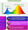Підвісна світлодіодна панель для кімнатних рослин теплиць / фітолампа 81 LED QRCP-01591, фото 3