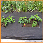 Агроволокно чорне 50 г/м2 1,6 х 50 м "Shadow" (Чехія) 4% для мульчі, для полуниці, фото 7