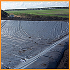 Плівка 150 мкм 6*50 чорна поліетиленова для полуниці, фото 5