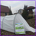Парник 6 м 60 щільність "Гігант" Агро-лідер ( великий парник з агрополотна), фото 7