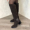 Високі замшеві жіночі чоботи на підборах. Колір коричневий, фото 3
