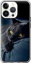 Чохол на iPhone 13 Pro Димчастий кіт "825u-2372-851"