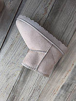 Угги бежевые экозамшевые светлые теплые зимние низенькие коротенькие непромокаемые с лейбл  UGG на пяточке, фото 4