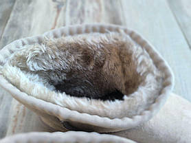 Угги бежевые экозамшевые светлые теплые зимние низенькие коротенькие непромокаемые с лейбл  UGG на пяточке, фото 3