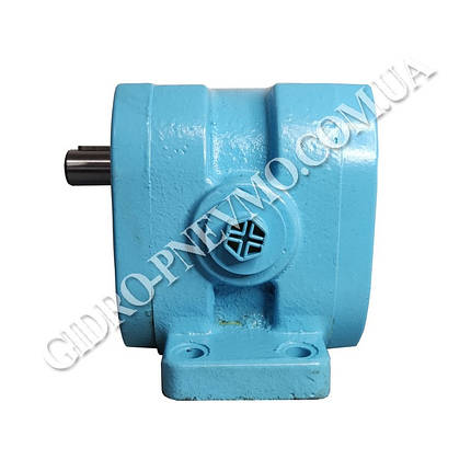 Г11-22 насос, фото 2