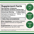 Astragalus Root Extract 4:1 500 mg  180capsules, фото 4