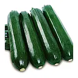 Кабачок Кора F1, 5 шт Спектр сад / Claus, фото 2