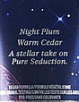 Лосьйон для тіла Victoria's Secret Fragrance Lotion Pure Seduction Starlit, фото 3