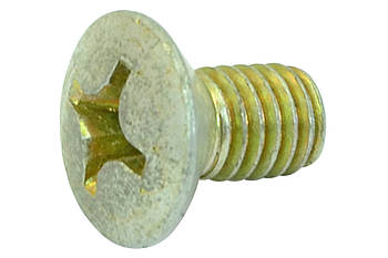 Гвинт замка двері 2101-2107, 2121-21214, 1117-1119, 2170-2174 старий зразок (М6х10х1) БелЗАН