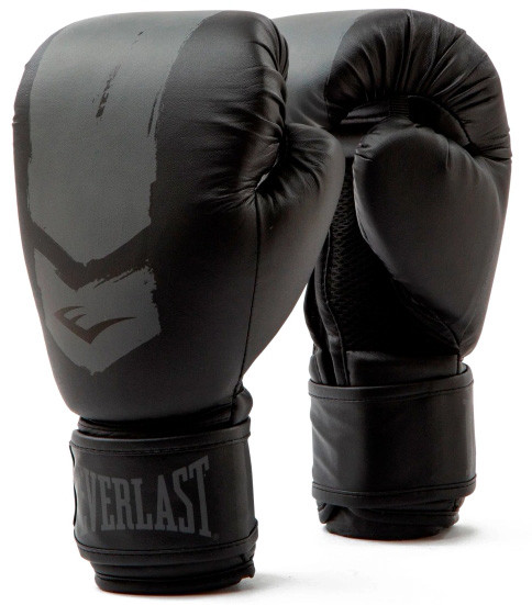 Боксерські рукавиці Everlast PROSPECT 2 BOXING GLOVE чорні 6 унцій, фото 1