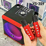 Портативна колонка з караоке мікрофонами YS309 10 W Bluetooth, HiFi, USB, microSD, AUX, Type-C, фото 4