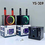 Портативна колонка з караоке мікрофонами YS309 10 W Bluetooth, HiFi, USB, microSD, AUX, Type-C, фото 3
