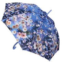 Жіночі парасолі ZEST