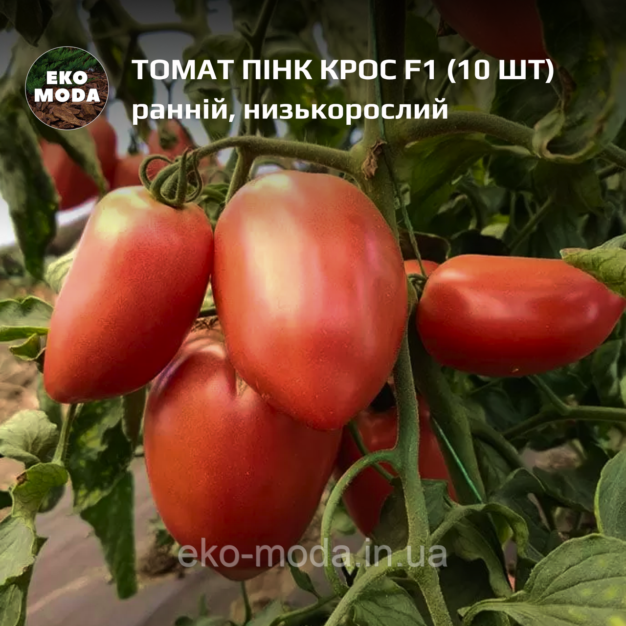 Томат Пінк Крос F1 -  ранньостиглий, детермінантний - (10 шт, zip-пакет)