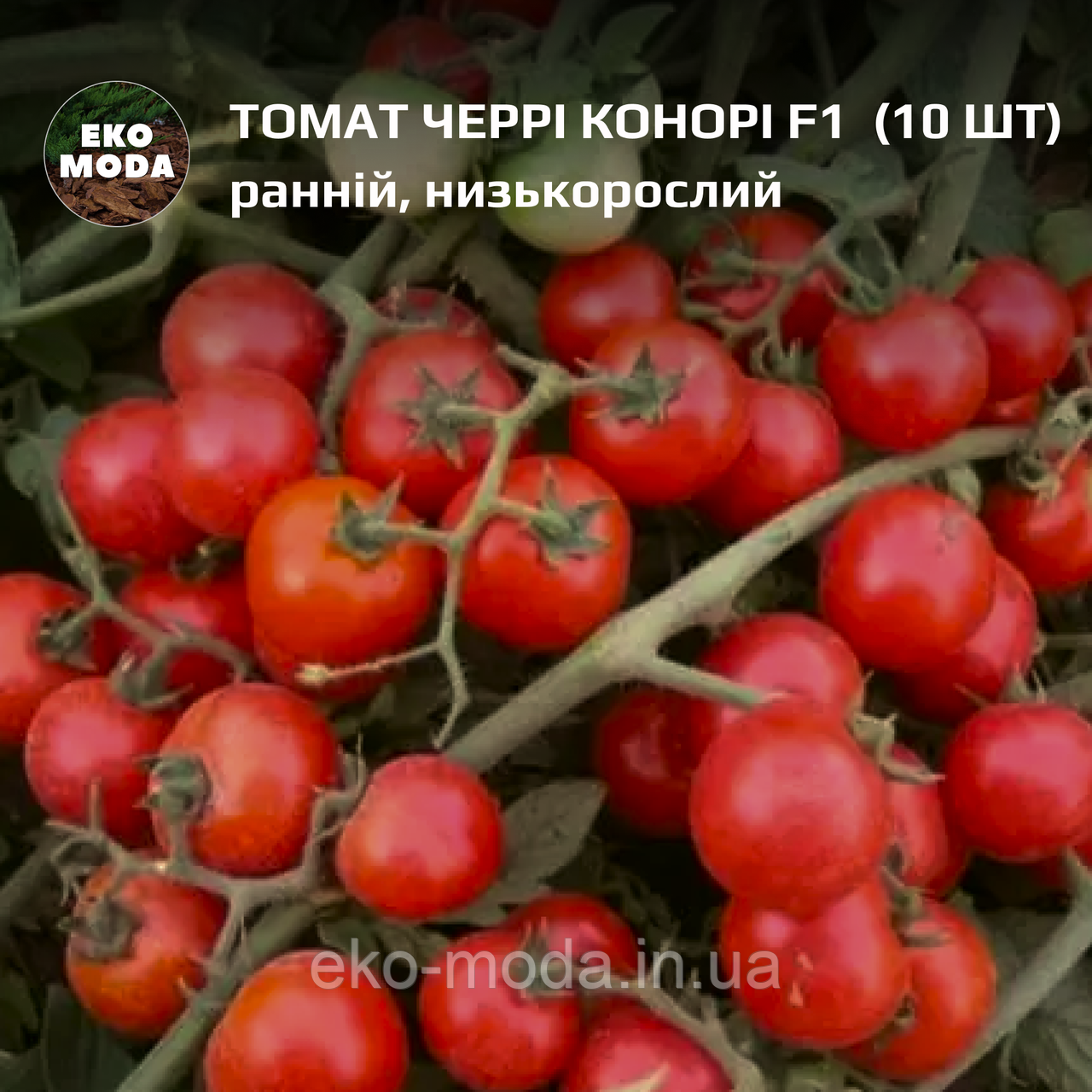 Томат черрі Конорі F1  -  ранньостиглий, детермінантний - (10 шт, zip-пакет)