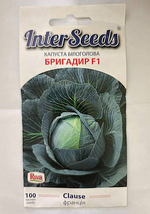 ВП Насіння Капусти Бригадир F1, 100 шт, Clause, Франція, фото 1