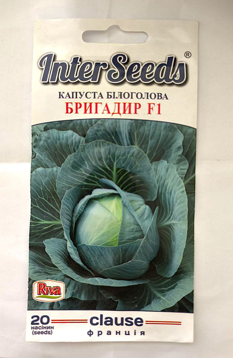 Насіння Капусти Бригадир F1, 20 шт, Clause, Франція