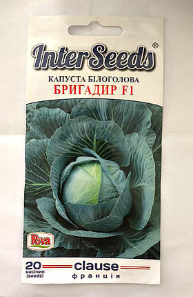 Насіння Капусти Бригадир F1, 20 шт, Clause, Франція, фото 1