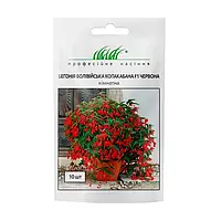 Бегонія болівійська Копакабана F1 червона, 10 шт