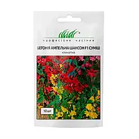 Бегонія бульбова Шансон F1 суміш, 10 шт