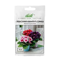 Глоксинія Аванті F1 суміш, 10 драже