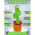 Дитячі іграшки татус, Плюшевий кактус повторюшка, Інтерактивний кактус Яктус Танцюючий дитяча AT-91, фото 5