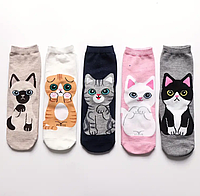 Набор цветних носков с котиками 5 пар, с антибактериальной защитой от запаха. 36-41 размер.