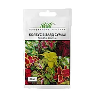 Колеус Візард суміш, 20 шт