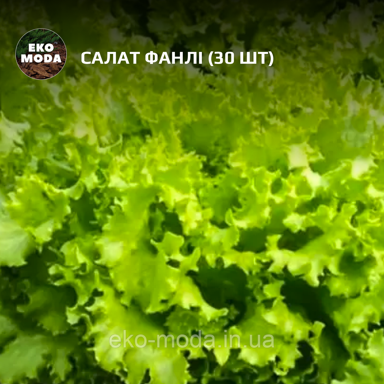 Салат Фанлі - (30 шт  zip-пакет)