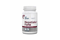 Hepatiale Forte Гепатопротектор Гепатіале Форте для підтримки та захисту функцій печінки для собак дрібних порід та кішок 40капс, фото 3