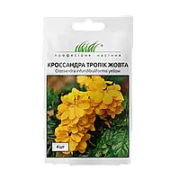 Кроссандра Тропік жовта 4 шт
