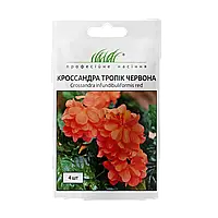 Кроссандра Тропік червона, 4 шт