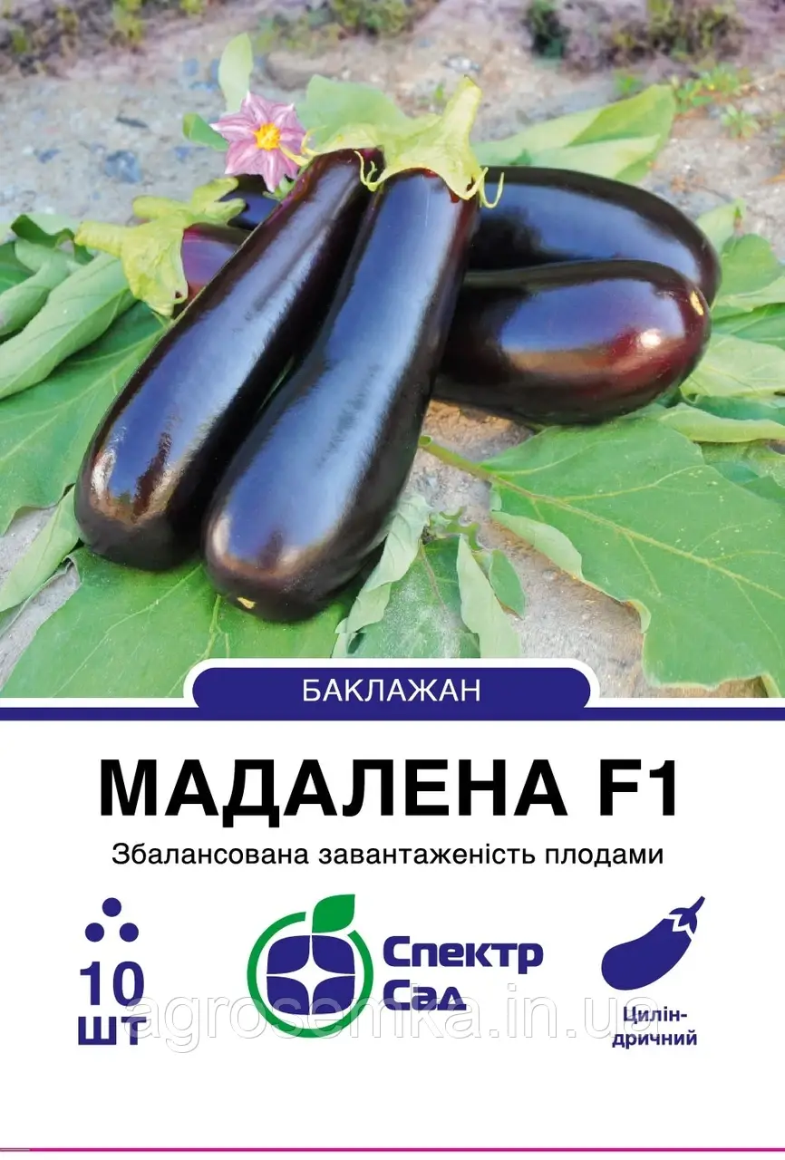Баклажан Мадалена F1, 10 шт Спектр сад / Hazera, фото 1