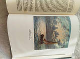 Georg Holfcher Das Buch vom Rhine Георг Хольфхер Книга Рейну 1925 рік німецькою мовою, фото 6