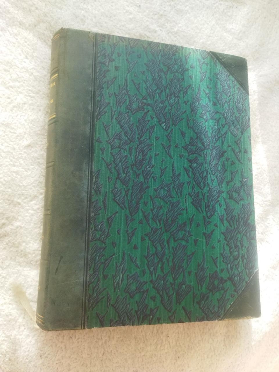 Georg Holfcher Das Buch vom Rhine Георг Хольфхер Книга Рейну 1925 рік німецькою мовою