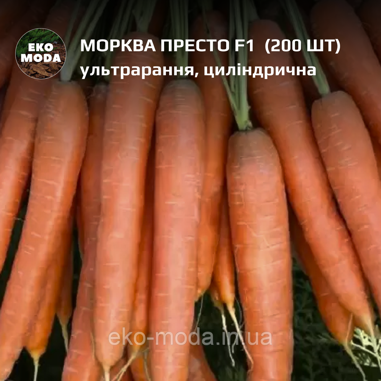 Морква Престо F1 -  ультрарання, циліндрична - (200 шт zip-пакет)