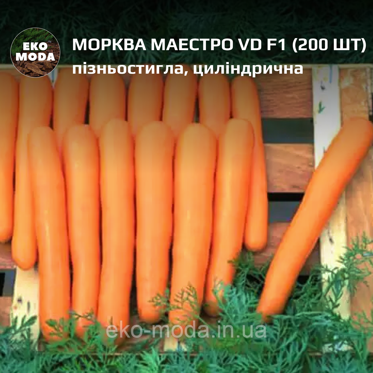 Морква Маестро VD F1 - пізньостигла, циліндрична - (200 шт zip-пакет)