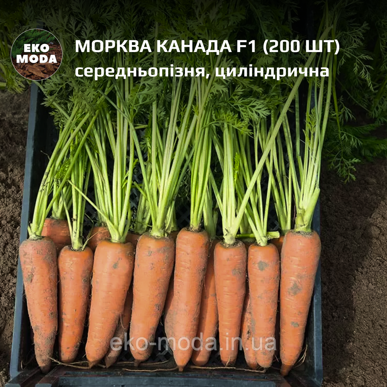 Морква Канада F1  - середньопізня, циліндрична - (200 шт zip-пакет)