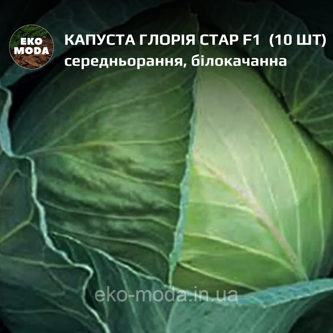 Капуста Глорія Стар F1 - середньорання, білокачанна - ( 10 шт  zip-пакет)