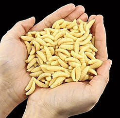 Опариш штучний SmartFish 10шт