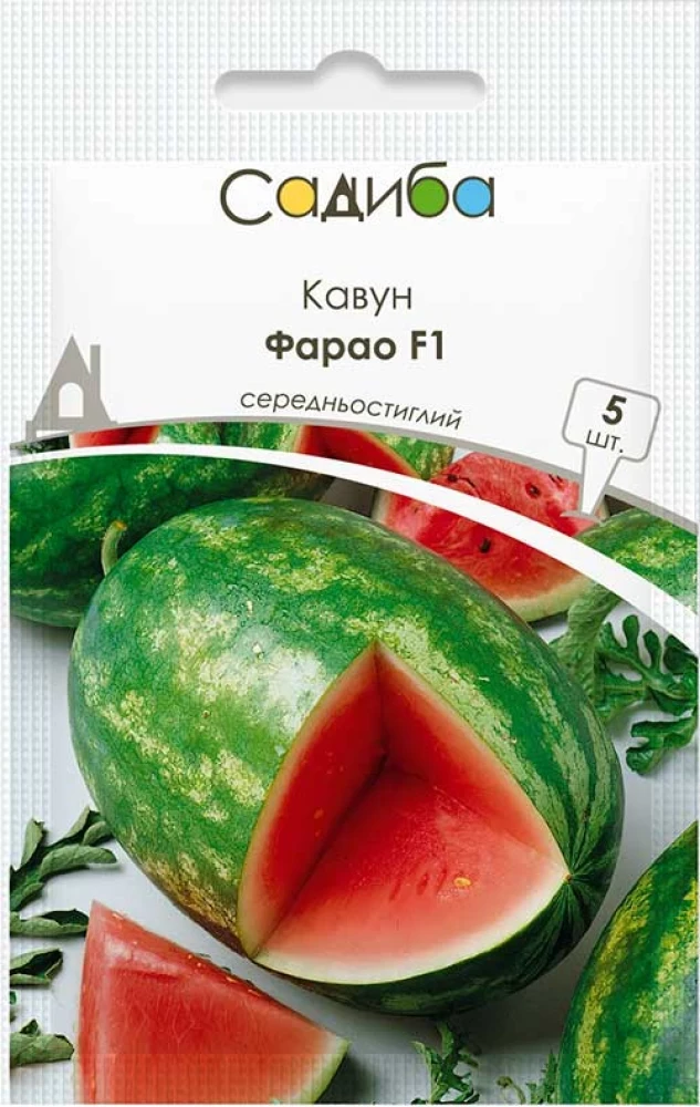 Фарао F1 10 насіння Syngenta