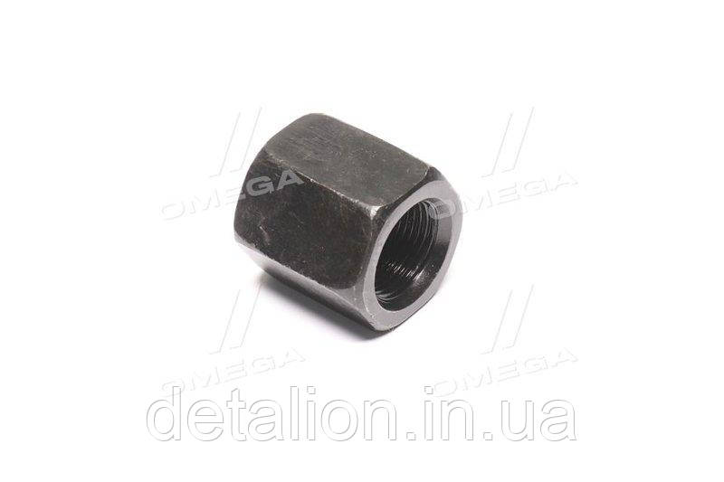 Гайка драбинки КАМАЗ М20х1.5х30Sх32H (rd). 44291289559, фото 1