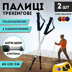 Палиці для скандинавської ходьби трекінгові палки для гір туристичні для спортивної ходьби сірі (6002)