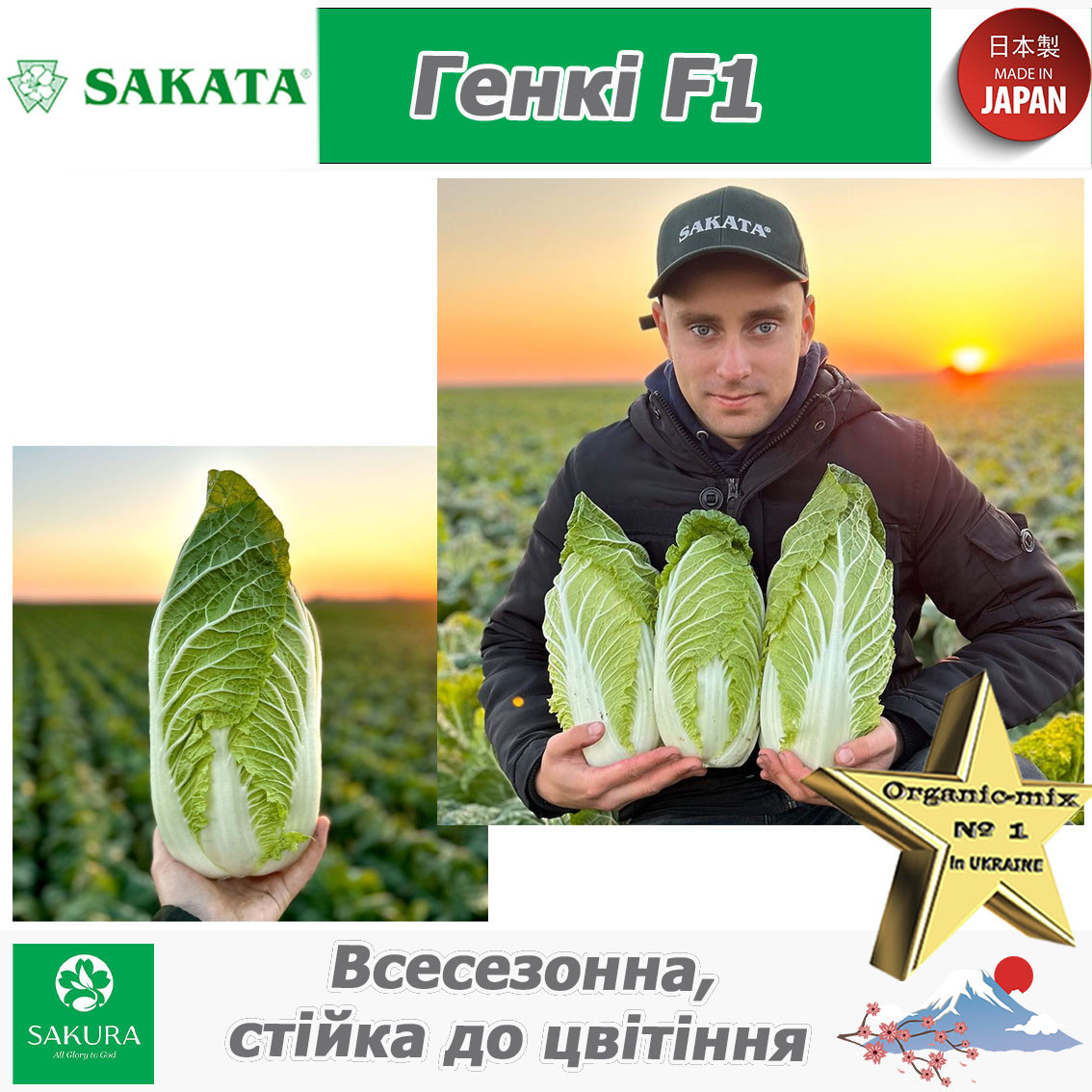 Пекінська капуста Генкі F1, ТМ SAKATA (Японія), 1000 насінин, фото 1