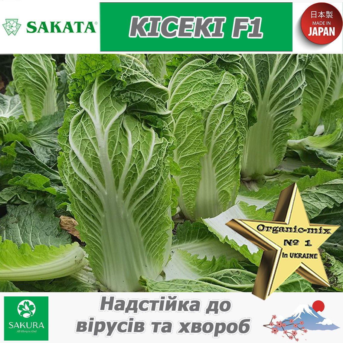 Пекінська капуста КІСЕКІ F1 (стійка до вірусів), ТМ SAKATA (Японія), 1000 насінин