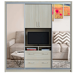 Шафа-купе ТВ-2 Алекса розсувна шафа 2 двері з полицею під тв купити в Одесі, Україні