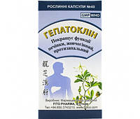 Гепатоклін Fito Pharma для покращення функції печінки (40 капс.)